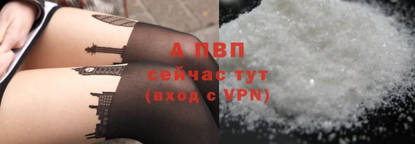 стаф Няндома