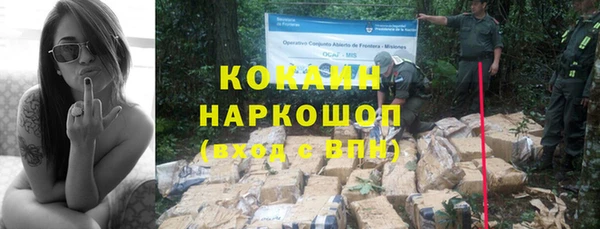 стаф Няндома