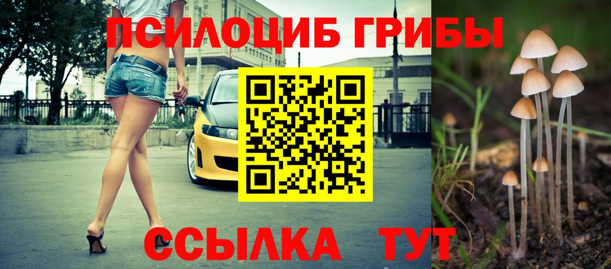 Псилоцибиновые грибы Magic Shrooms  Вход с VPN  Клинцы  Галлюциногенные грибы GOLDEN TEACHER 